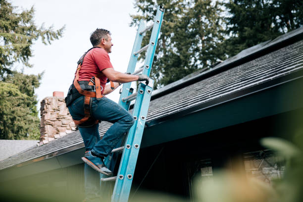 Best Chimney Flashing Repair  in Pierz, MN